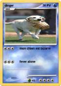 dinger