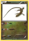 lizard