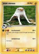 drole oiseaux