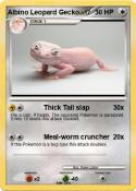 Albino Leopard