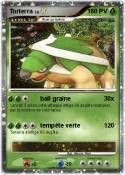 Torterra