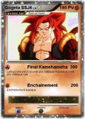 Gogeta SSJ4