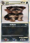 york