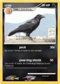 crow