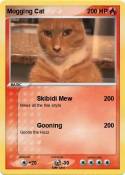 Mogging Cat