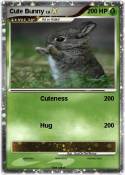 Cute Bunny