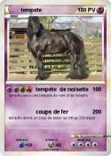 tempete