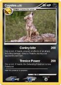 Coyotes