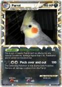 Parrot