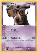 Kermit The Dog