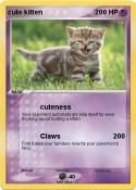 cute kitten