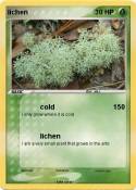 lichen