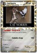 Cat Norris