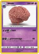 BRAIN