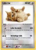 Liltle Cat