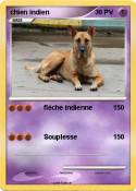 chien indien
