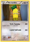 I like turtles