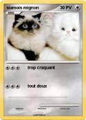 siamois mignon
