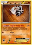 Doge Tag Team