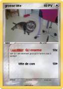 grosse tête