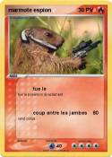 marmote espion