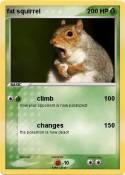 fat squirrel