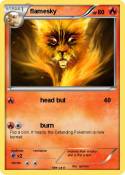 flamesky