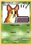 chien PIXELLE