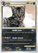 kitty