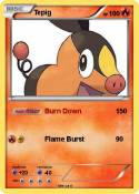 Tepig