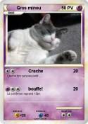 Gros minou