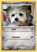 Yorkiechu