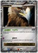golden eagle