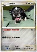 chiwawa