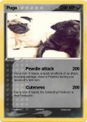 Puga