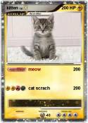 kitten