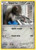 Sniper Cat