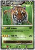 MR TIGER