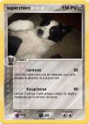 superchien