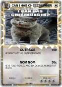 CAN I HAS CHEEZ