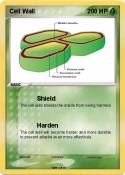 Cell Wall