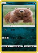 Bear