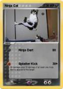 Ninja Cat