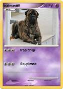 bullmastiff