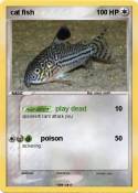 cat fish