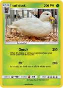 call duck