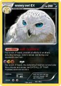 snowy owl EX