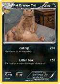 Fat Orange Cat
