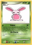 Rabbit