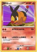 TEPIG
